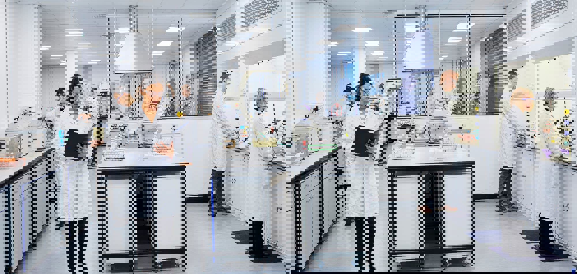 BTTG 15.03.18 Shirley Lab Wide Shot (6)