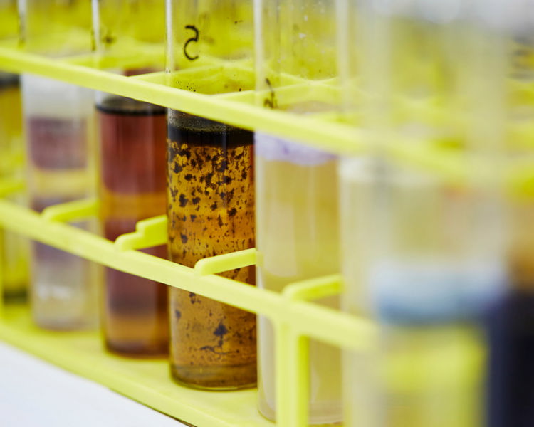 BTTG 14.03.18 Shirley Lab (3)