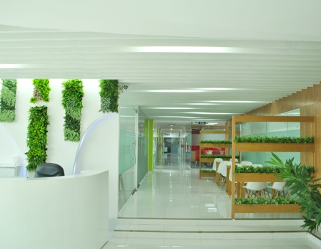 Reception Area