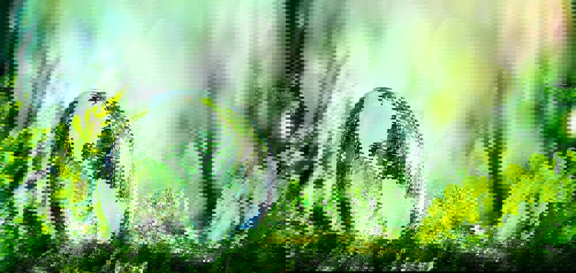 Shutterstock 274566236 (1) (1)